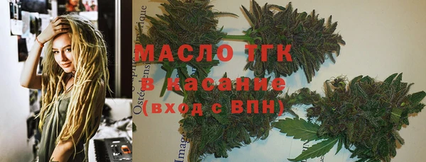 индика Богородицк